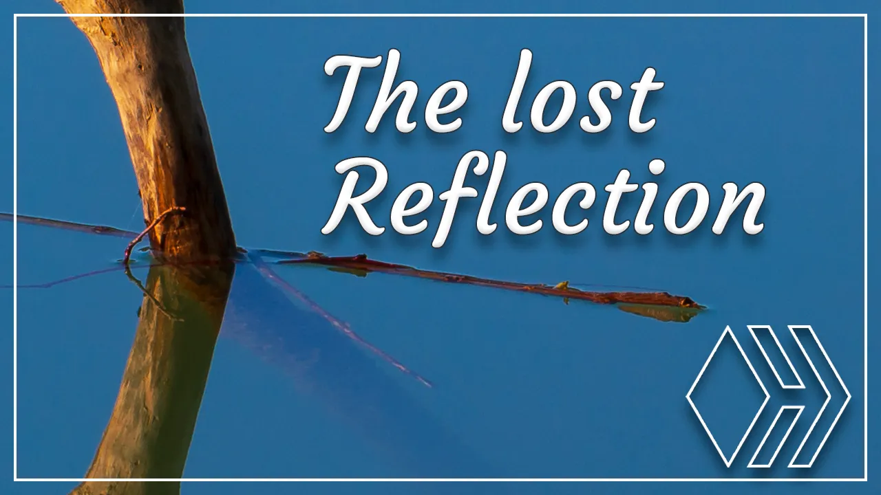 The lost Reflection