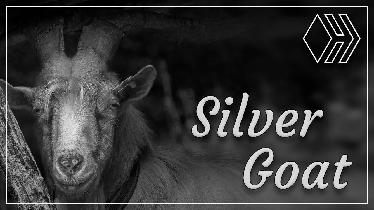 Silver Bloggers Community - What's with your name?