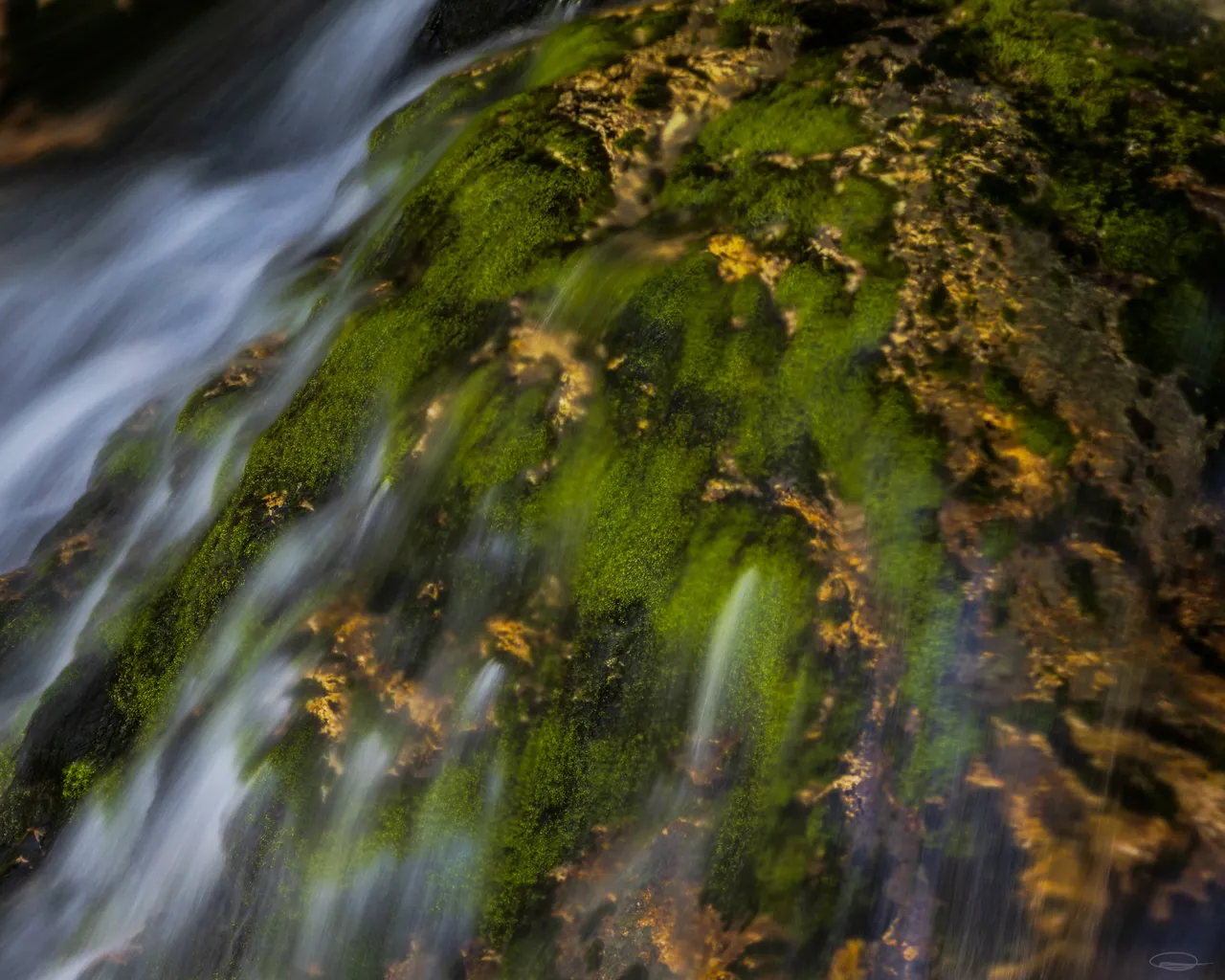 Intimate Landscape Photography - Sunikov Vodni Gaj - Sunik Water Grove, Slovenia