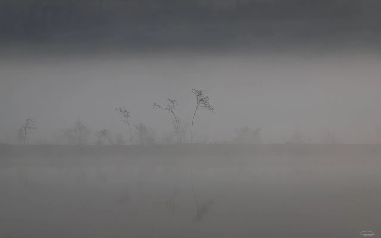 I thought it was Spring here ... and Autumn in the South - Misty Sunrise at the Reservoir - Johann Piber