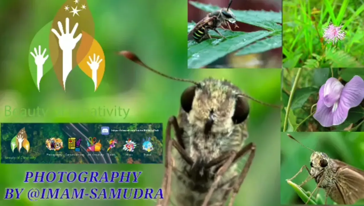Screenshot_20211230-205611_Video Player.jpg