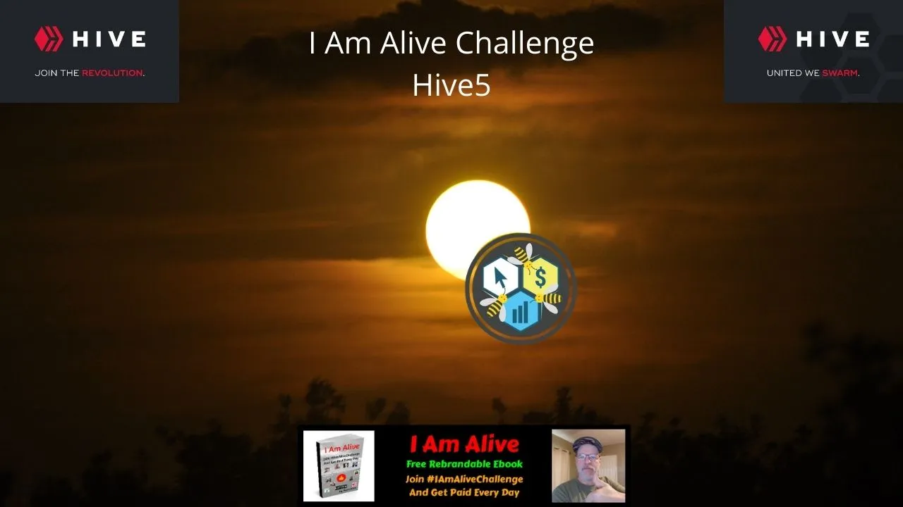 I Am Alive Challenge Hive5 (18).jpg