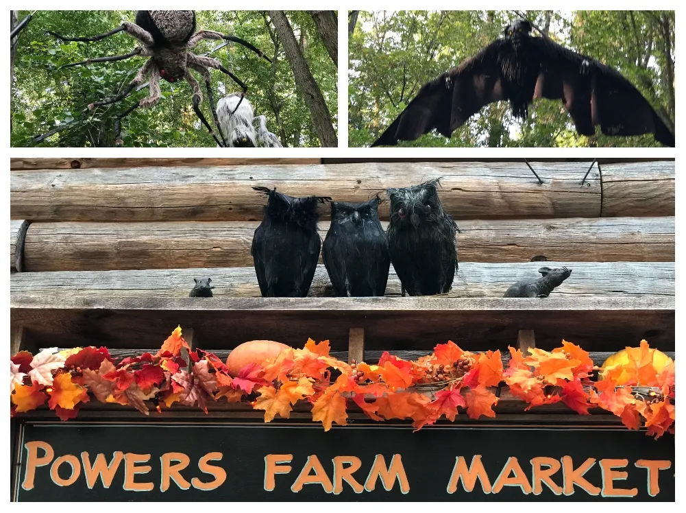 halloween 1000 powers farm market.jpg