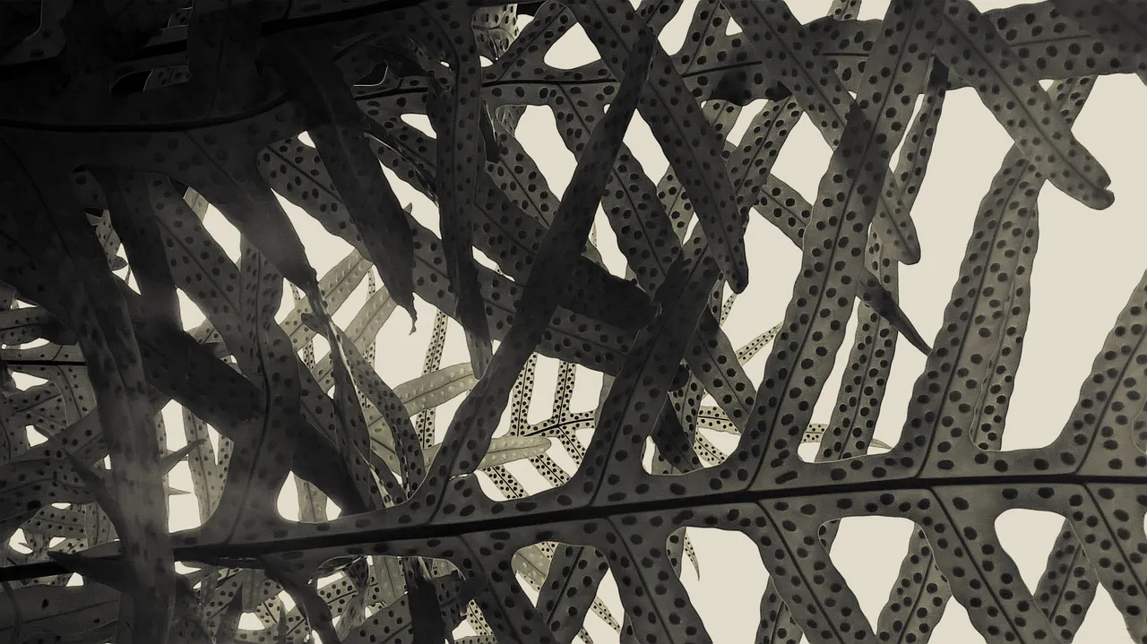 WP_20210603_01_12_14_Pro20210603015421[1].jpg