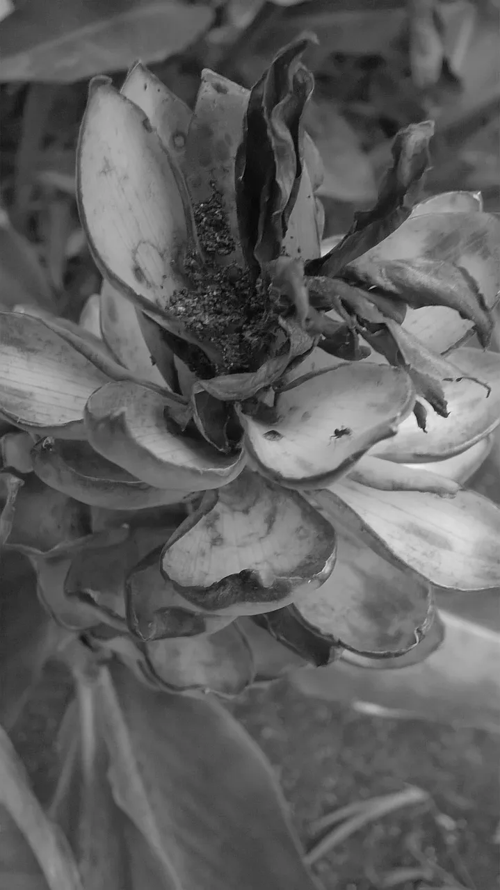 WP_20210603_01_19_19_Pro20210603015307[1].jpg