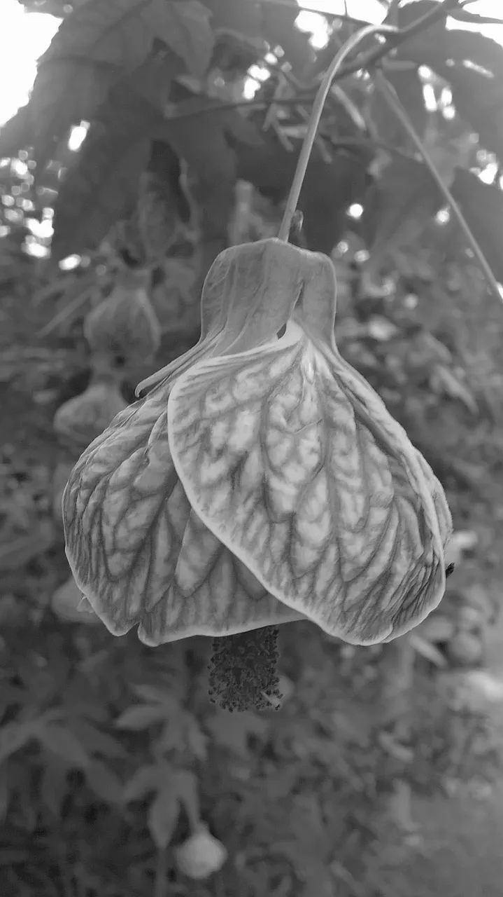 WP_20210603_01_13_50_Pro20210603014534[1].jpg