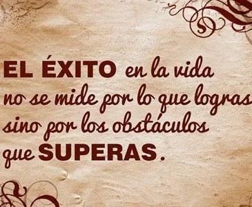 0a48da70-5c74-4e36-a1f3-ab84e00b8c6c_x365.jpg