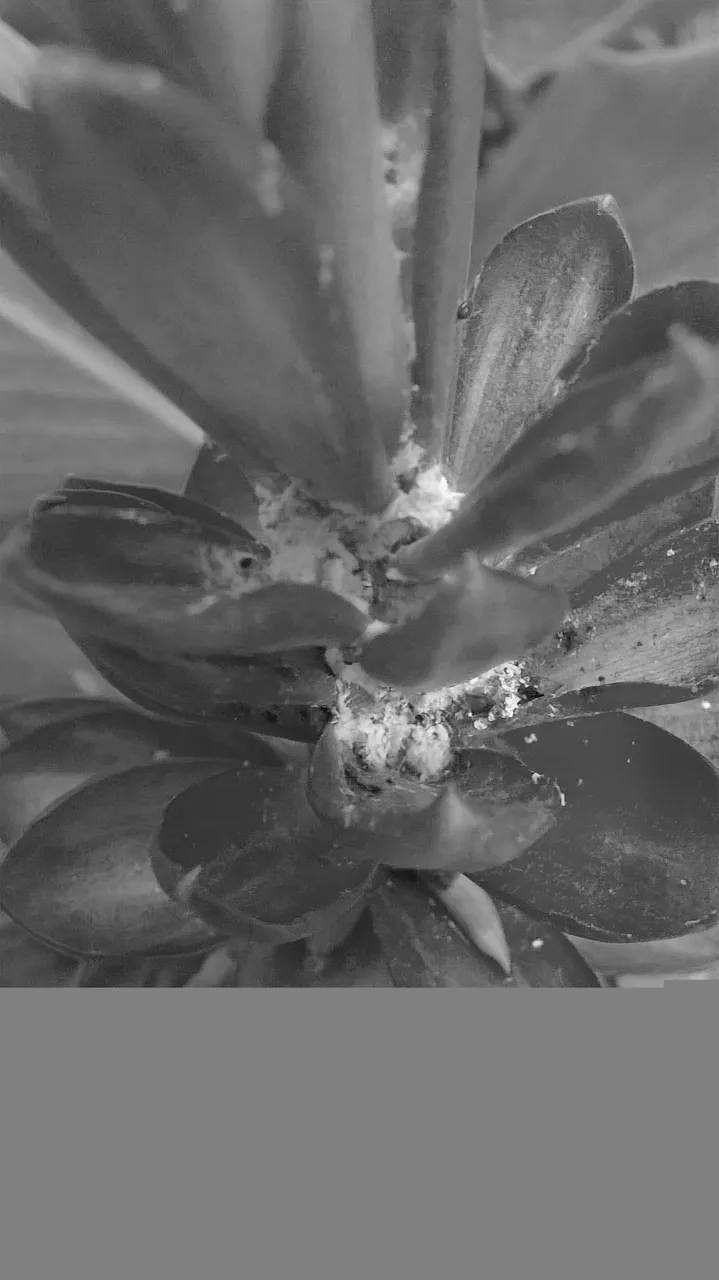 WP_20210603_01_19_45_Pro20210603015645[1].jpg