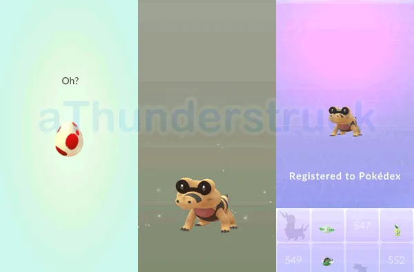 First 12 km egg hatched Sandile.png