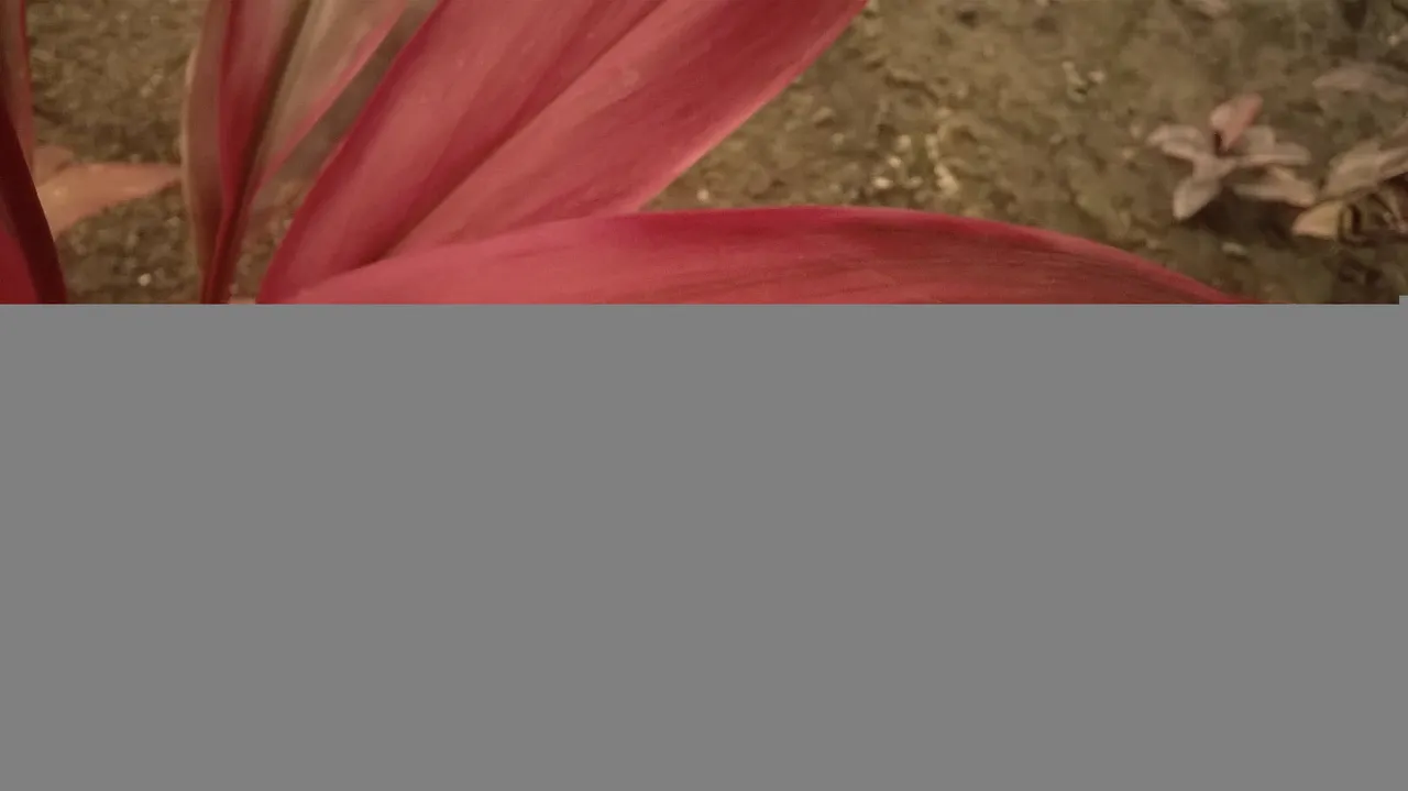 WP_20210603_01_15_19_Pro20210603015527[1].jpg