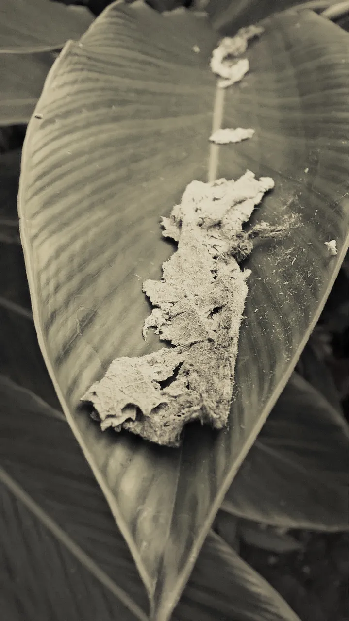WP_20210603_01_18_30_Pro20210603015329[1].jpg