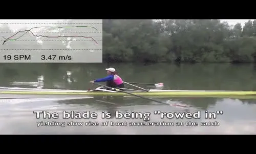 anigifRowing in Motion.mp4