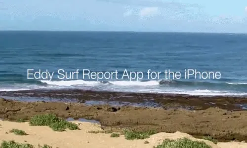 anigifEDDY SURF REPORT.mp4