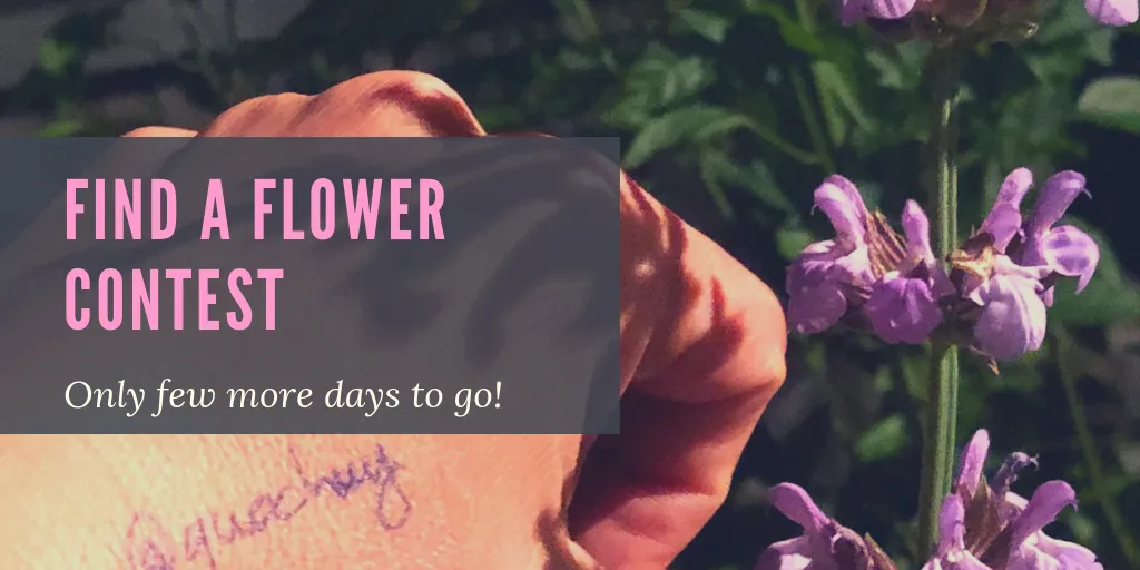 https://s3.us-east-2.amazonaws.com/partiko.io/img/quochuy-find-a-flower-contest-ending-soon-qluole3t-1541137970828.png