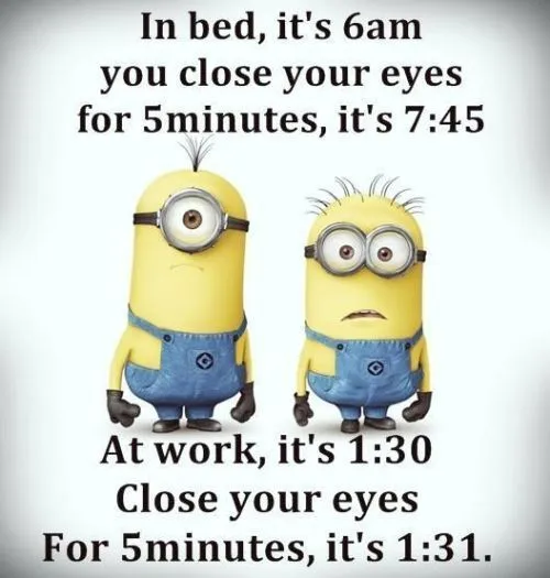 Top-40-Funniest-minions-memes-very-funny.jpg