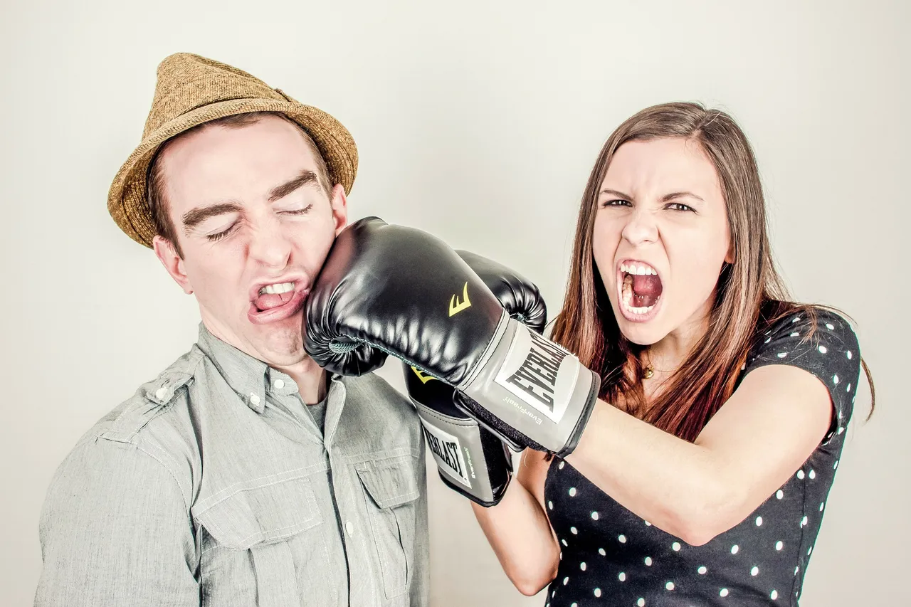 argument-238529_1920-RyanMcGuire-pixabay.jpg
