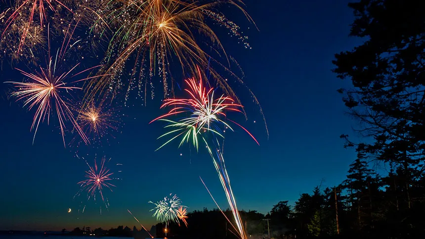 fireworks-wild-birds-one-health-uc-davis.jpg