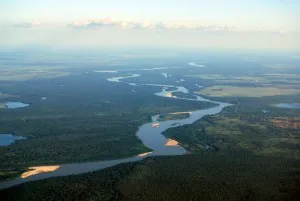 Brazil-Aerial-view-of-rainforest-300x201.jpg