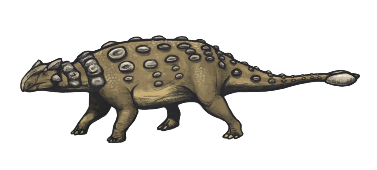 Ankylosaurus_magniventris_reconstruction.png