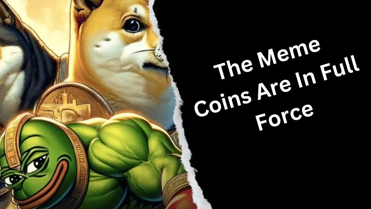 "image.png"