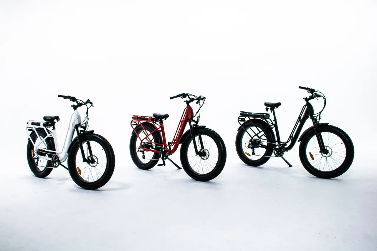 Saigo SUB ebike line up