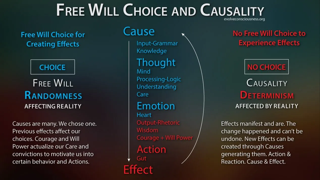 Free-Will-Choice-Causality910f6.jpg