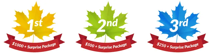 Prize Packages