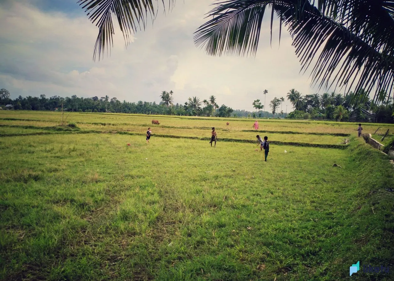 405opjpkzmq477k_IMG20220214174652-01.jpeg