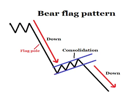 20_07_15_Bear_flag.png