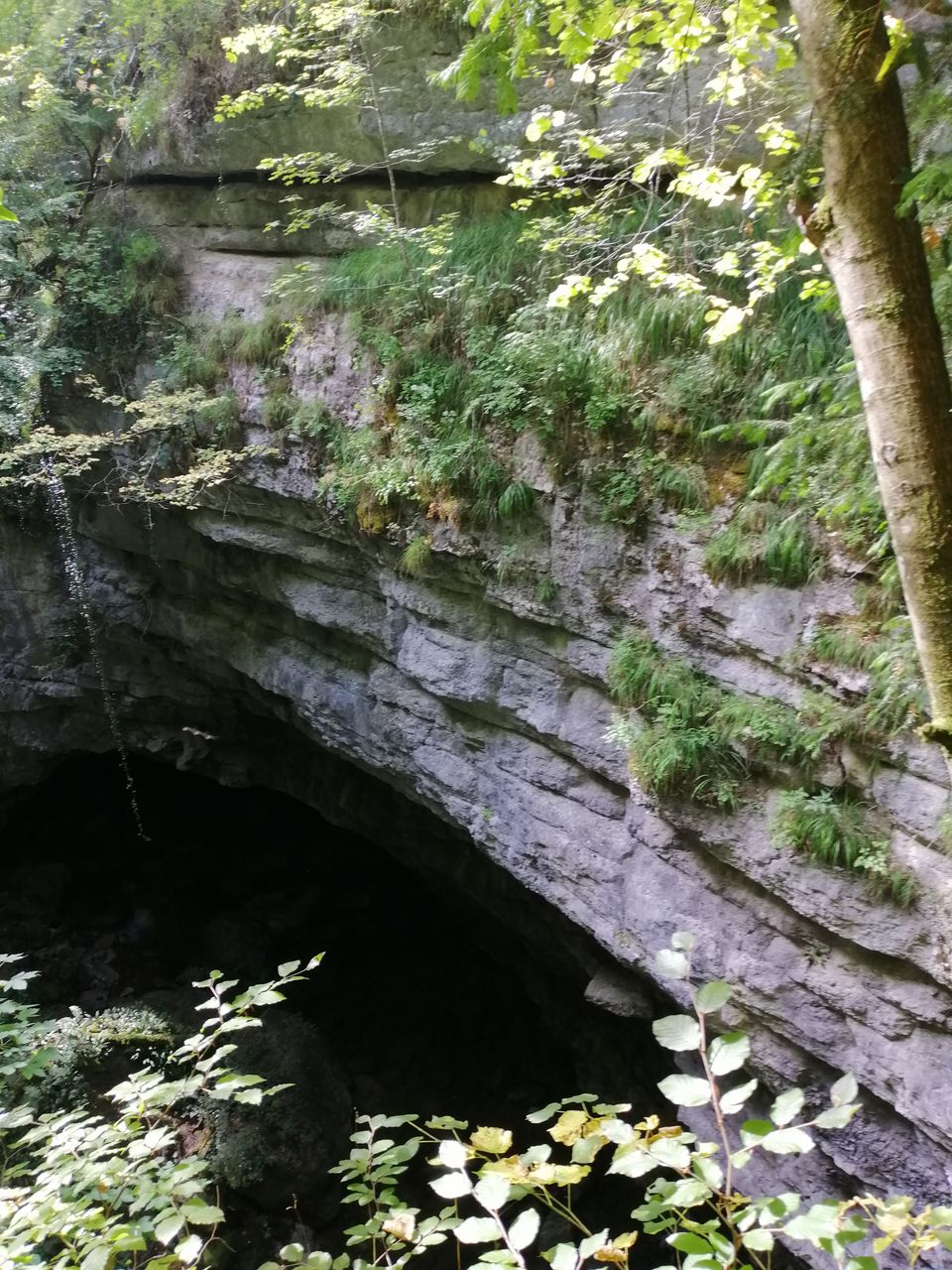 IMG_20200812_161801.jpg