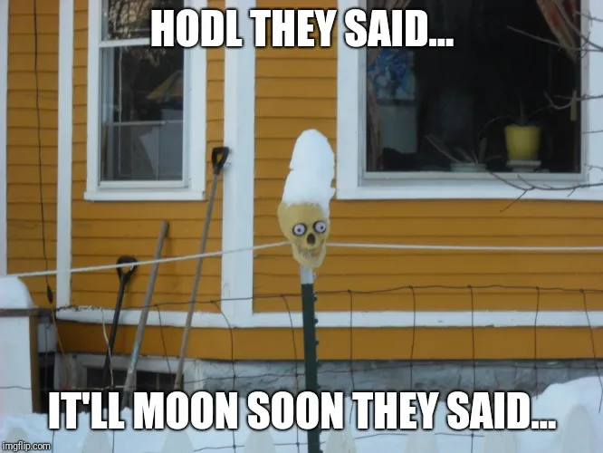 crypto moon.jpg