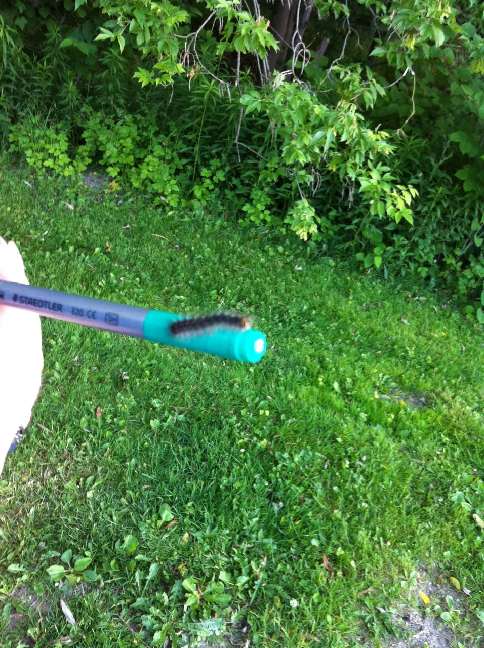 IMG_0336.JPG