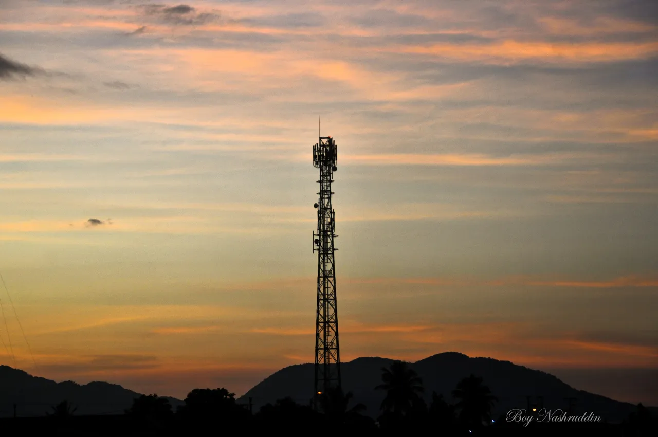 DSC_66482.jpg