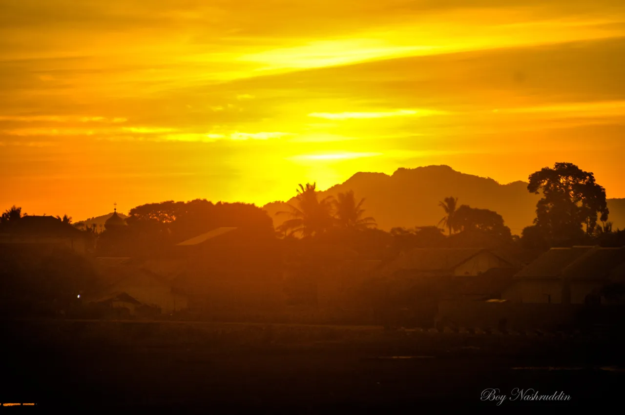DSC_66292.jpg