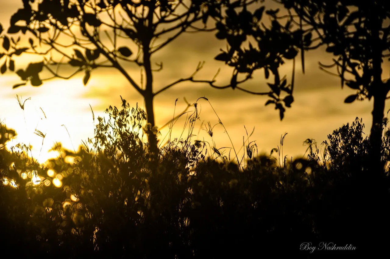 DSC_65972.jpg