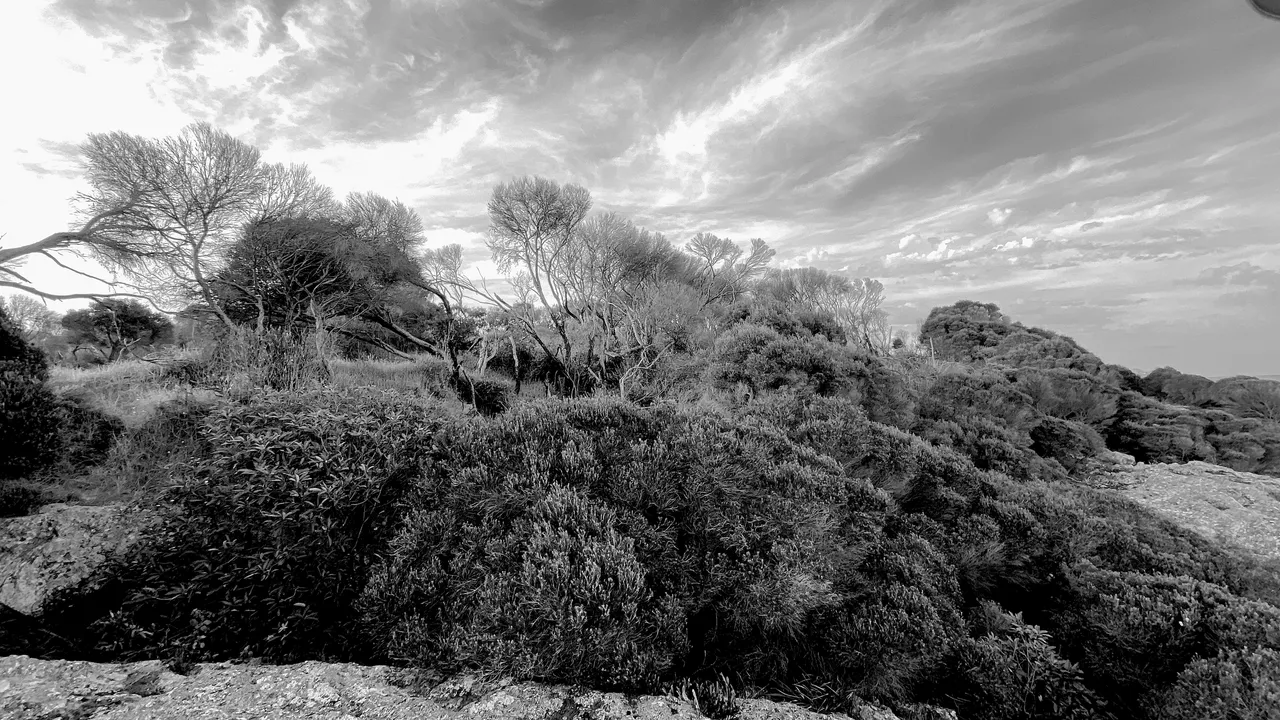 TATHRA20.png