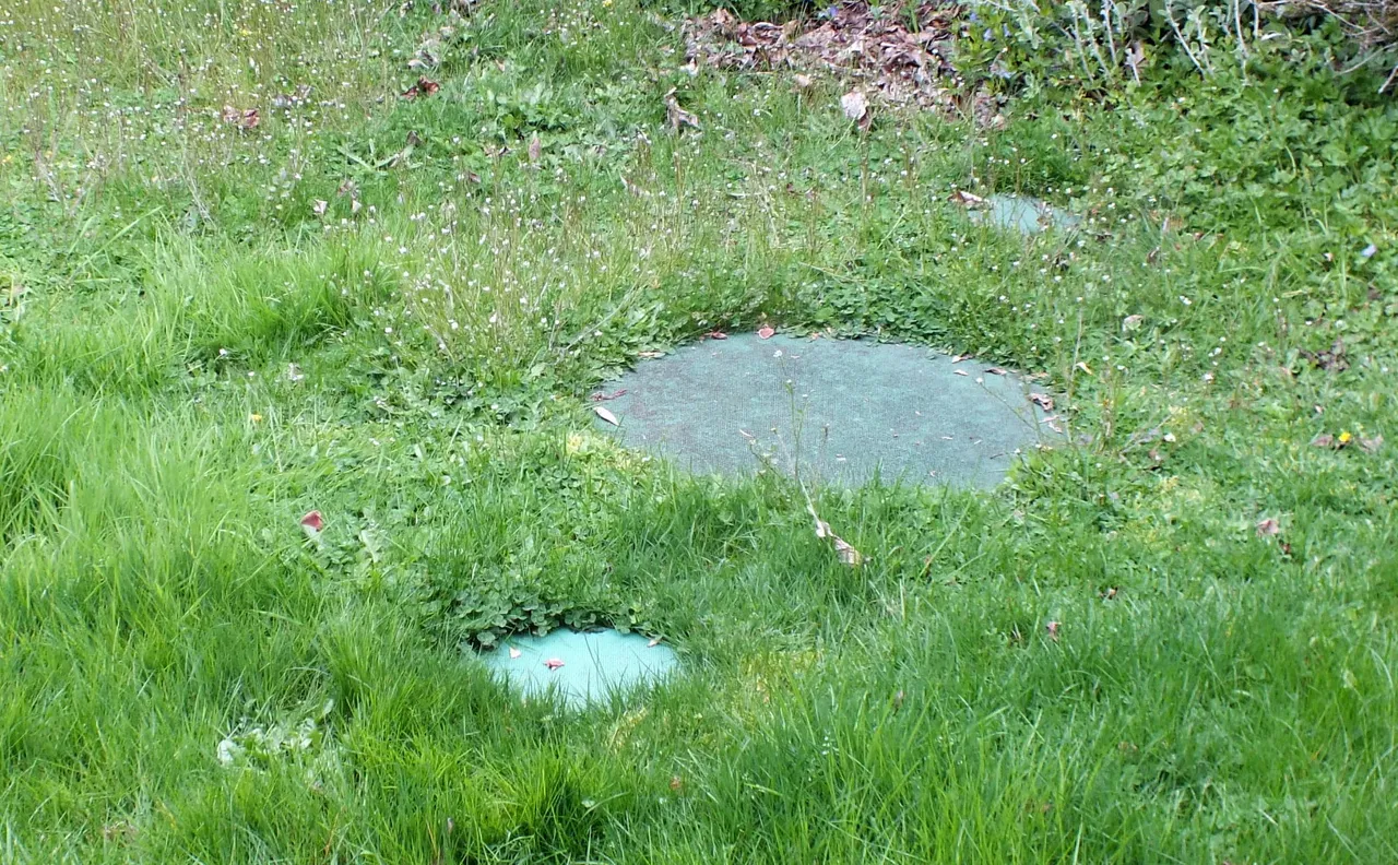 0018Septic01.jpg