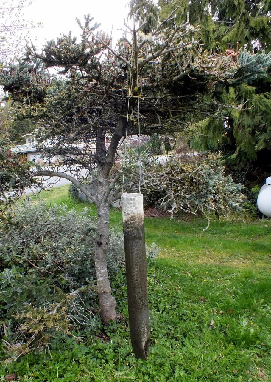 FilterTree