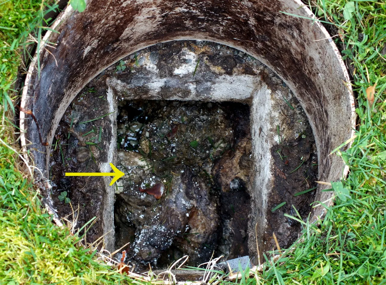 0018Septic04.jpg