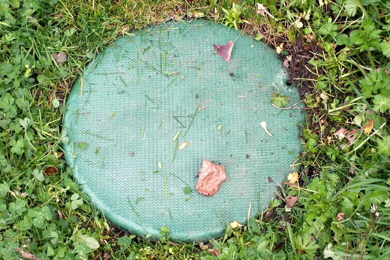 0018Septic06.jpg