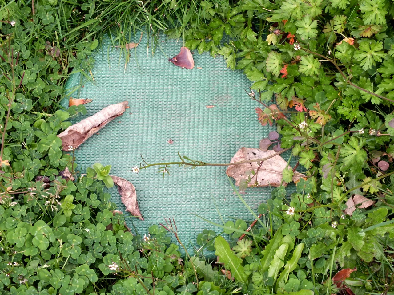 0018Septic05.jpg