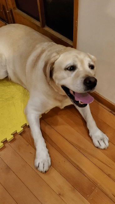 20200501_191014_1.gif