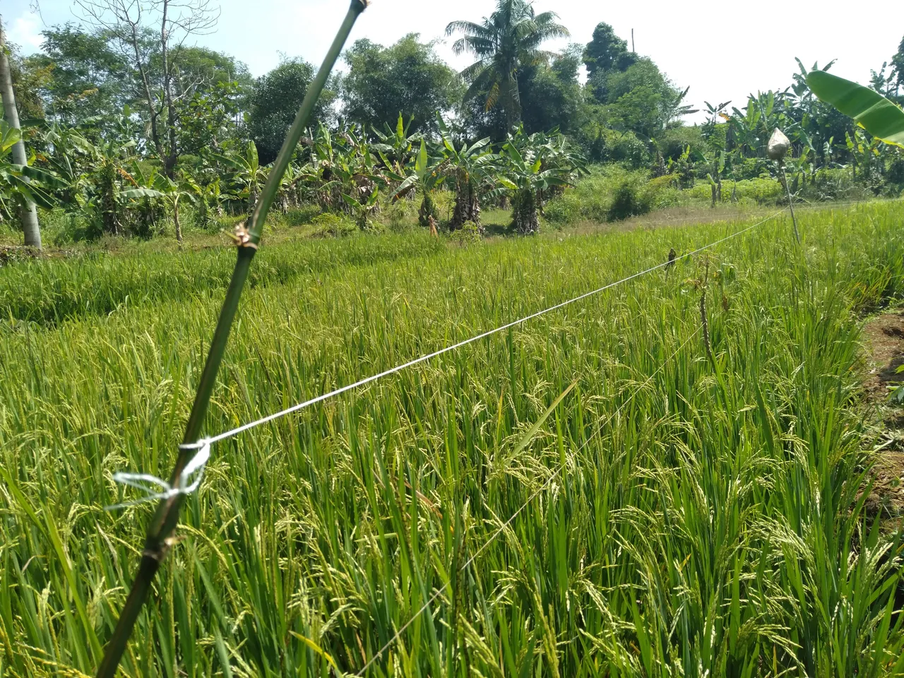 IMG20200912095420.jpg