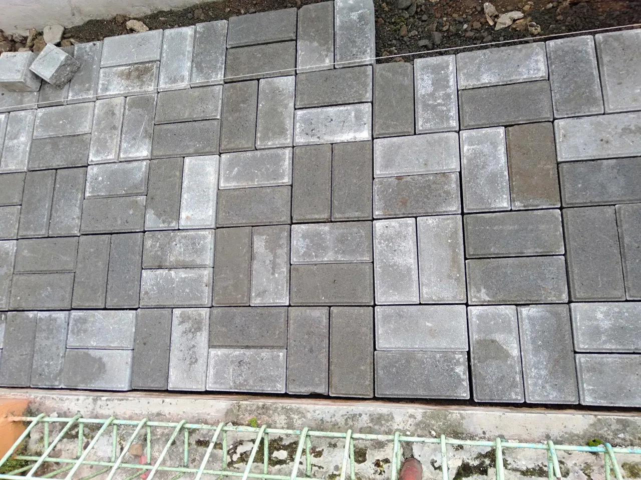 IMG20201121112505.jpg