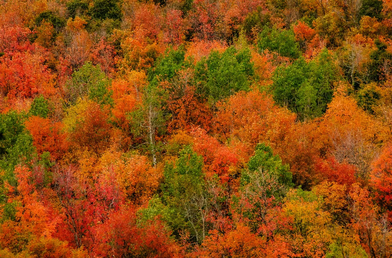 20060921_UT85673.jpg