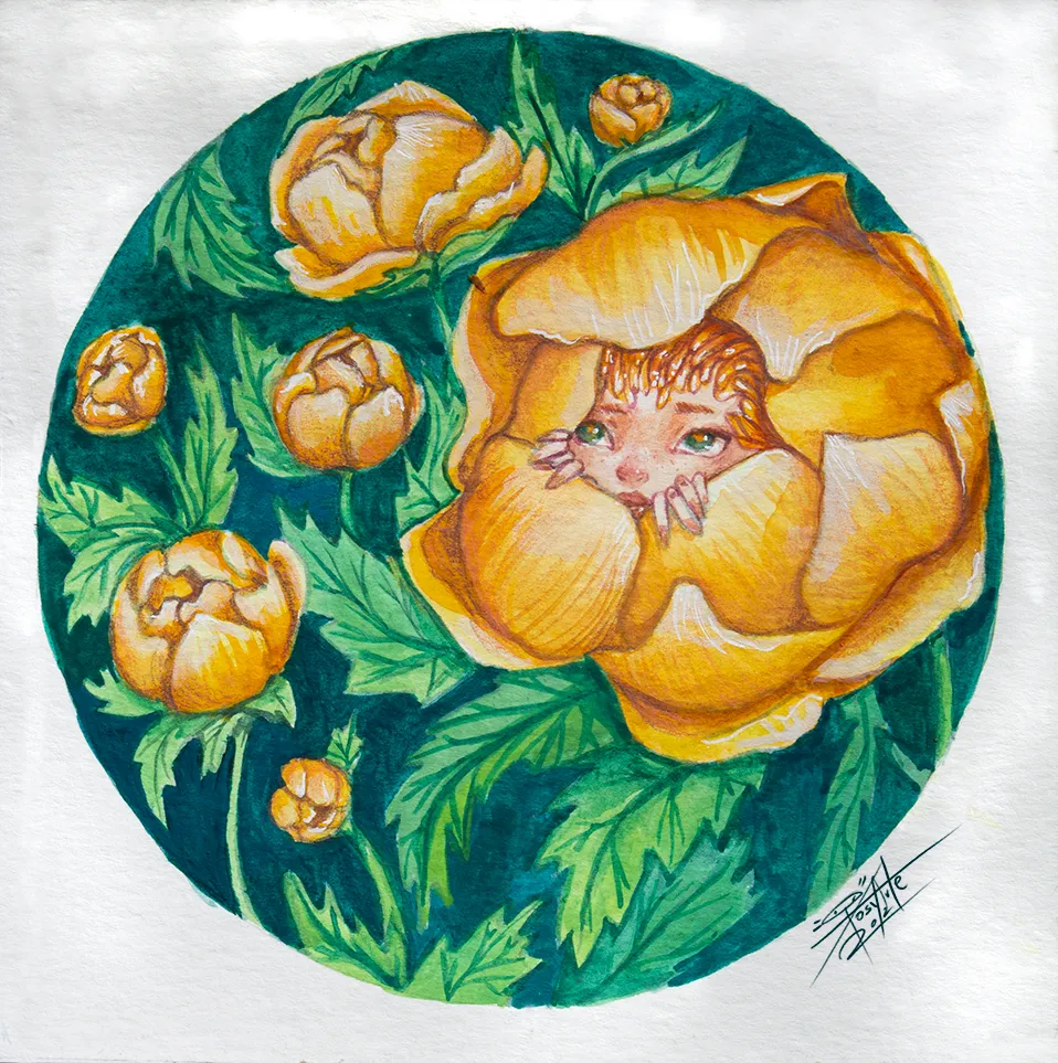 Trollius_web.jpg