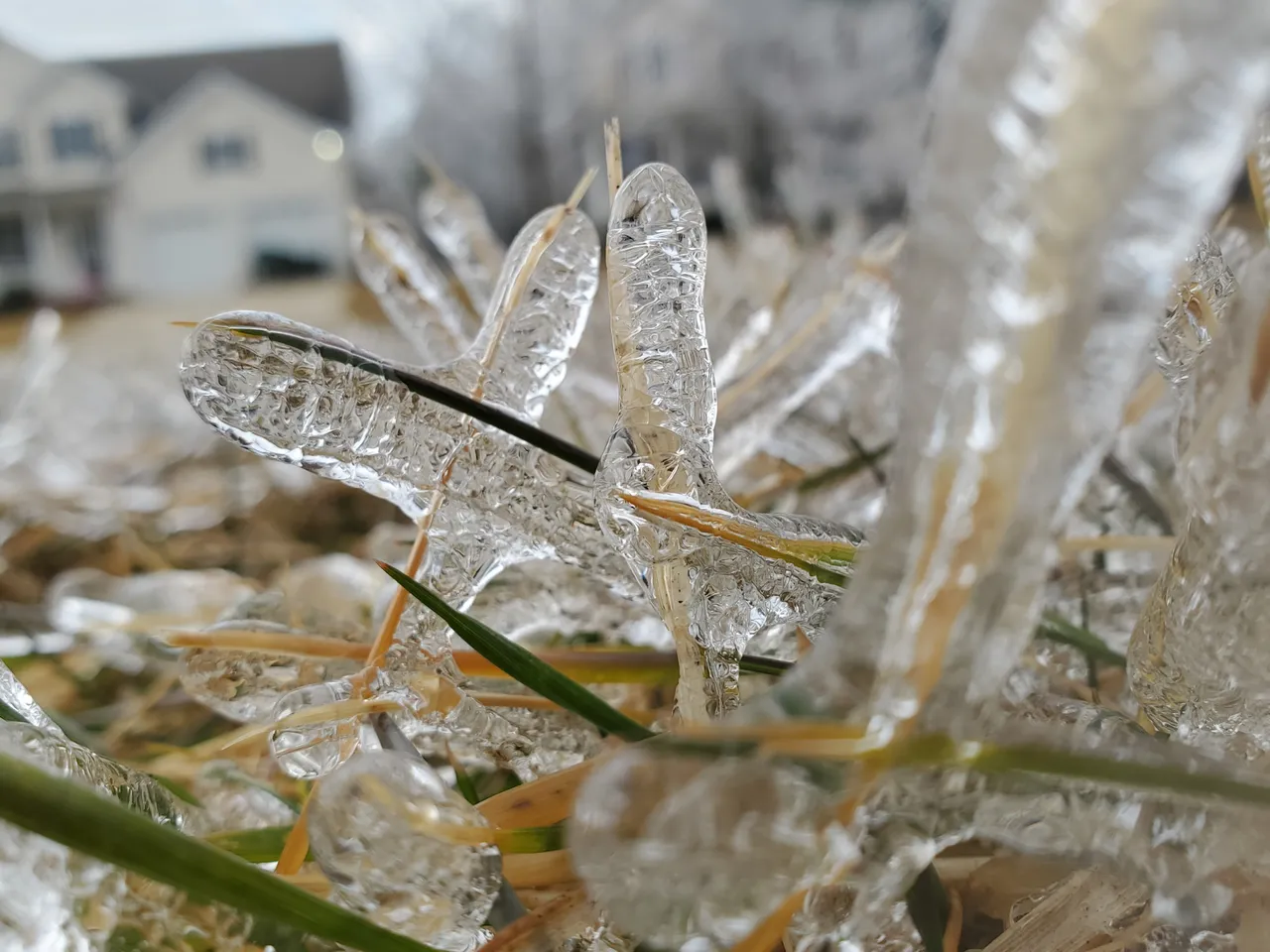 IceStorm-FrozenBlades
