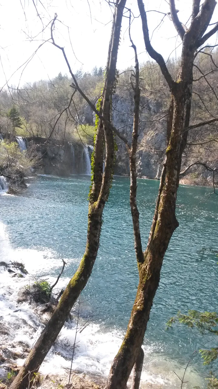 20140325_211020.jpg