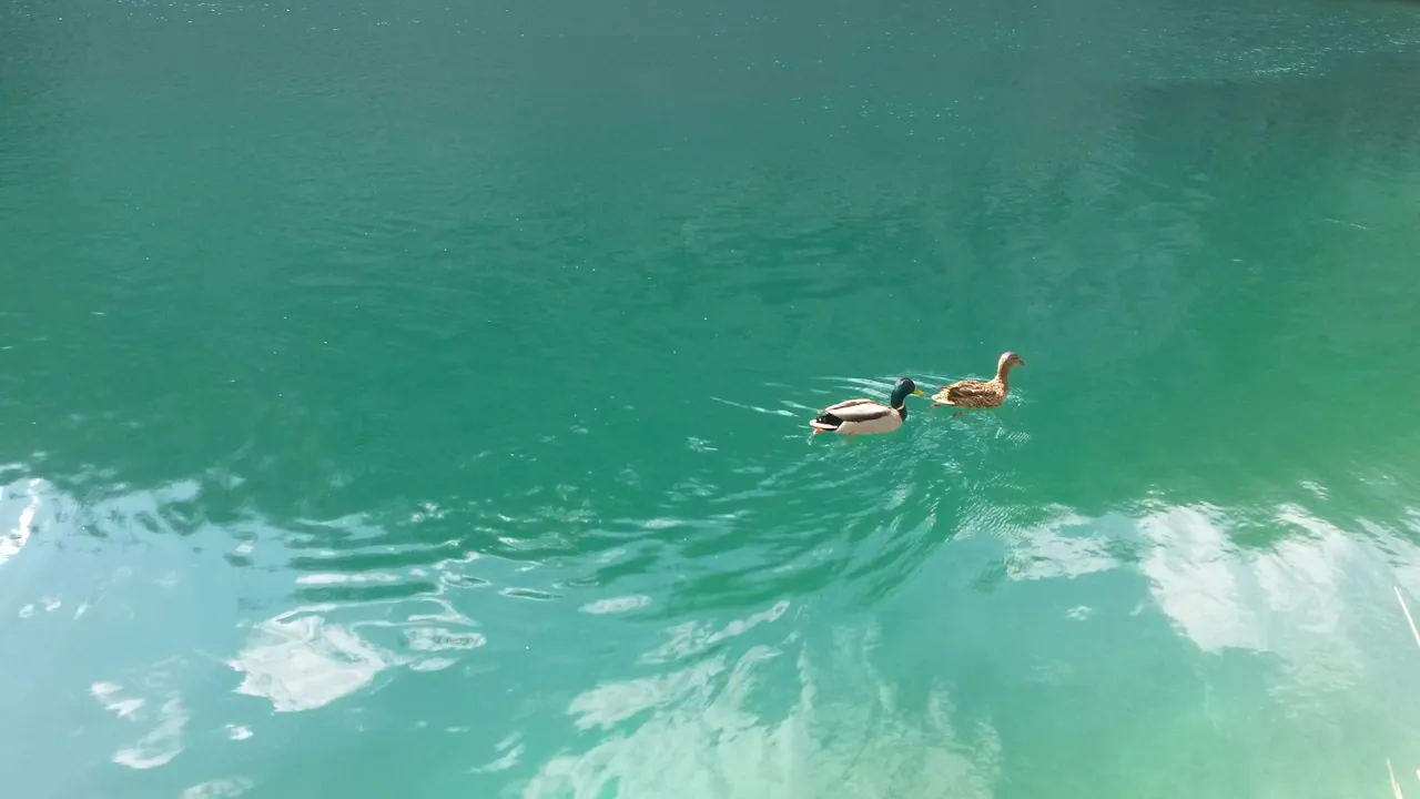 20140325_205334.jpg