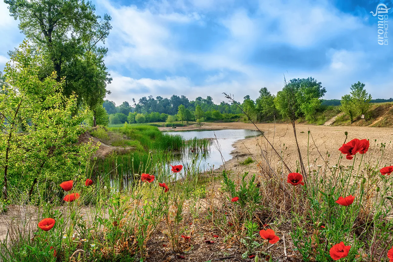 2 DSC03124HDR.jpg